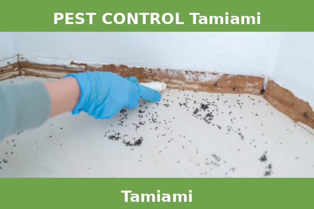 PEST CONTROL Tamiami